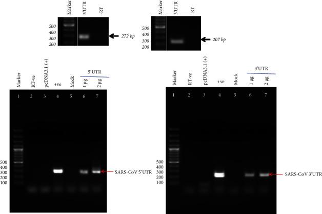 https://cdn.ncbi.nlm.nih.gov/pmc/blobs/22cd/10098413/f04cb720c074/AV2023-2995443.002.jpg