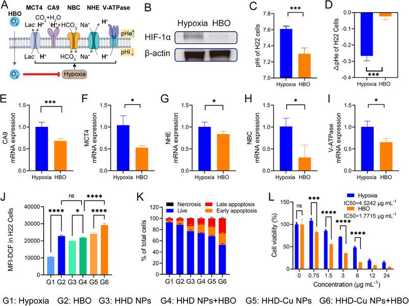 https://cdn.ncbi.nlm.nih.gov/pmc/blobs/22cd/12380064/25508dcc6992/EXP2-5-e20240080-g008.jpg