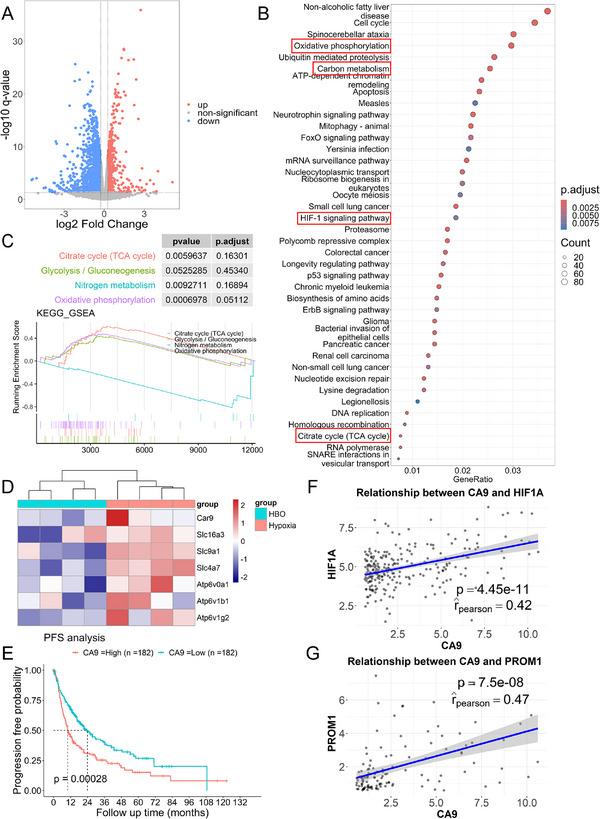 https://cdn.ncbi.nlm.nih.gov/pmc/blobs/22cd/12380064/a2d8b89b176c/EXP2-5-e20240080-g005.jpg