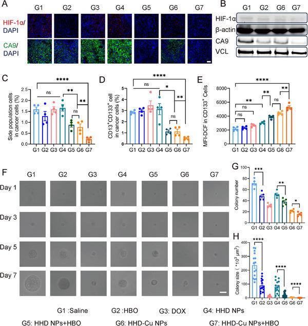 https://cdn.ncbi.nlm.nih.gov/pmc/blobs/22cd/12380064/d560f5cb14ad/EXP2-5-e20240080-g002.jpg