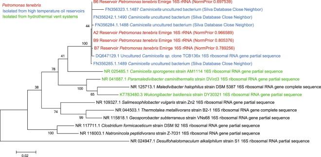 https://cdn.ncbi.nlm.nih.gov/pmc/blobs/22cd/7229112/477876759a2b/41598_2020_64904_Fig2_HTML.jpg
