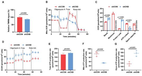 https://cdn.ncbi.nlm.nih.gov/pmc/blobs/22ce/11336976/2da3506d3008/ADVS-11-2403093-g002.jpg