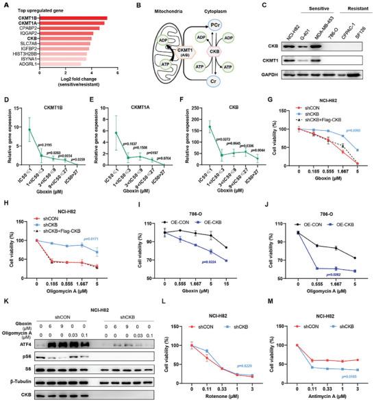 https://cdn.ncbi.nlm.nih.gov/pmc/blobs/22ce/11336976/376bd455d048/ADVS-11-2403093-g001.jpg