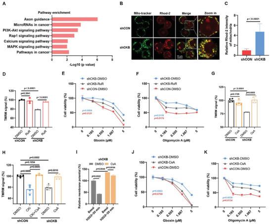 https://cdn.ncbi.nlm.nih.gov/pmc/blobs/22ce/11336976/93c0810a3a15/ADVS-11-2403093-g003.jpg