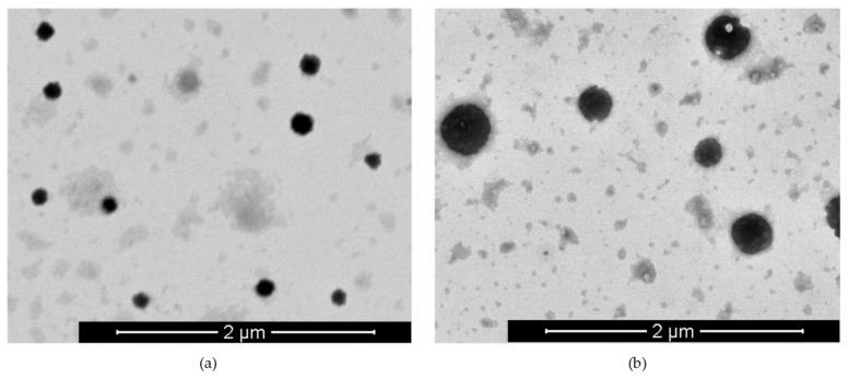 https://cdn.ncbi.nlm.nih.gov/pmc/blobs/22d0/6164329/7dfa97f99adb/nanomaterials-08-00659-g002.jpg