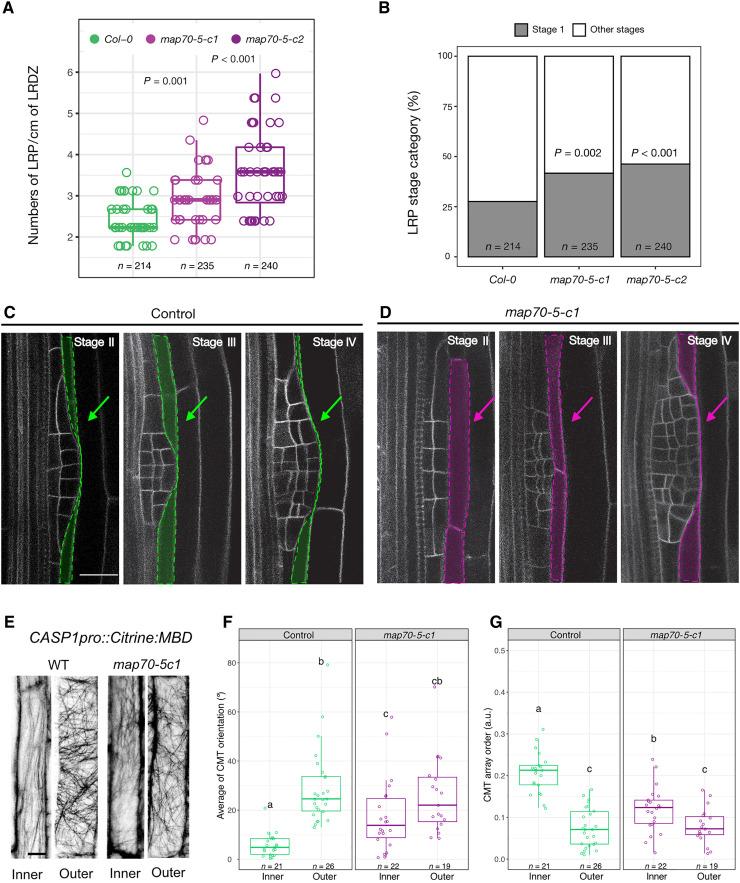 https://cdn.ncbi.nlm.nih.gov/pmc/blobs/22d0/8827652/3304d0864e60/sciadv.abm4974-f5.jpg