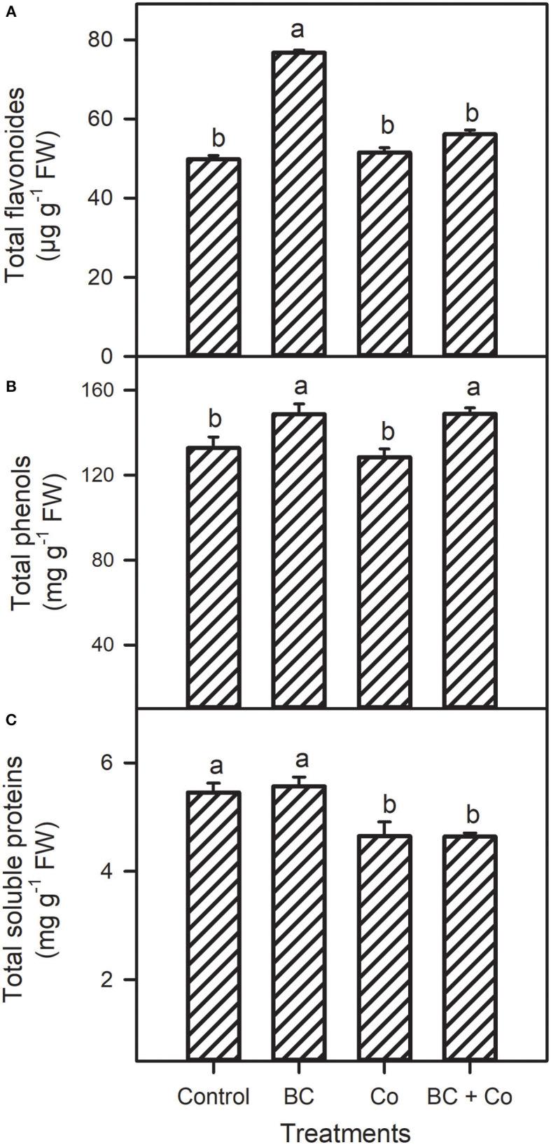 https://cdn.ncbi.nlm.nih.gov/pmc/blobs/22d1/8419328/0a9bef0a3abf/fpls-12-707061-g0003.jpg