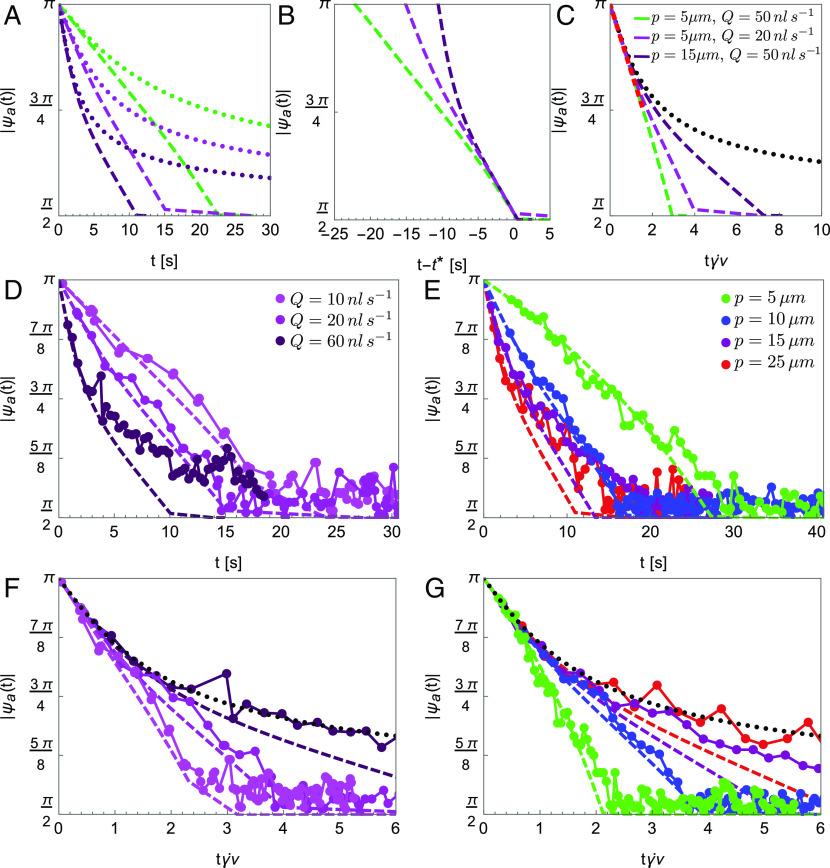 https://cdn.ncbi.nlm.nih.gov/pmc/blobs/22d3/10636314/0e4553fda7fe/pnas.2310939120fig05.jpg