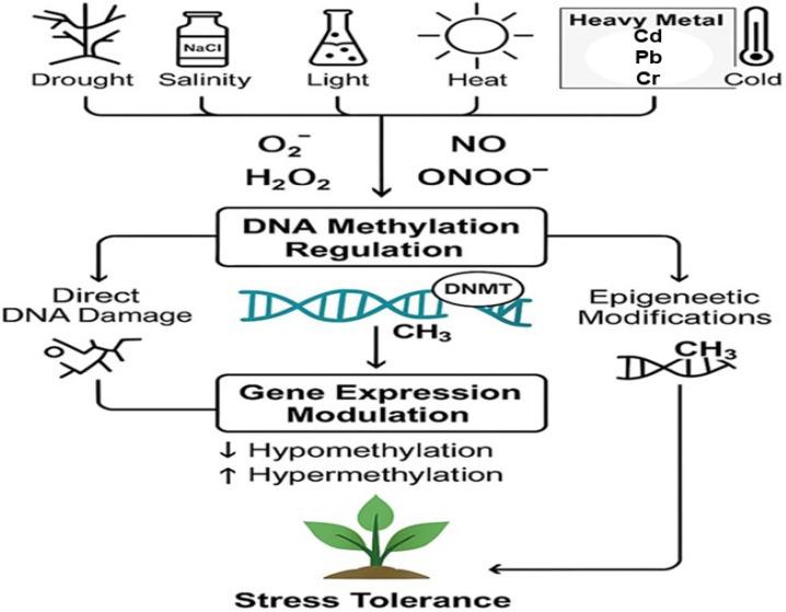 https://cdn.ncbi.nlm.nih.gov/pmc/blobs/22d3/12345703/1a340c8d6515/ijms-26-07167-g002.jpg