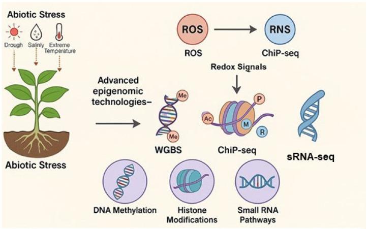 https://cdn.ncbi.nlm.nih.gov/pmc/blobs/22d3/12345703/c0d8c4aa7db7/ijms-26-07167-g006.jpg