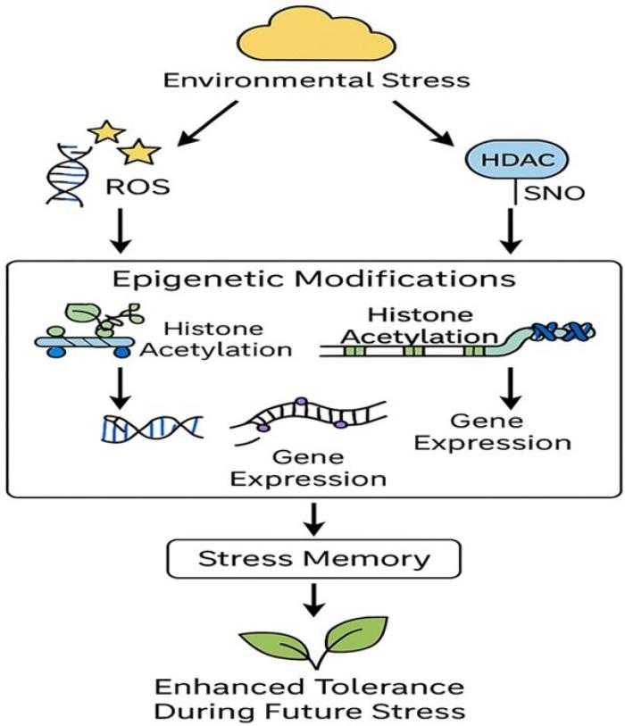 https://cdn.ncbi.nlm.nih.gov/pmc/blobs/22d3/12345703/fae55a84db84/ijms-26-07167-g003.jpg