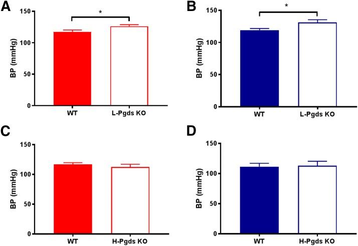 https://cdn.ncbi.nlm.nih.gov/pmc/blobs/22d4/6226547/2d14f28d86dd/jpet.118.250936f2.jpg
