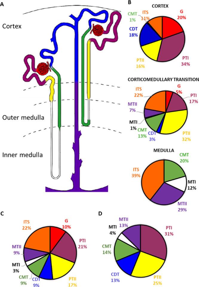 https://cdn.ncbi.nlm.nih.gov/pmc/blobs/22d4/8922278/e68bb938c009/ac1c00649_0003.jpg