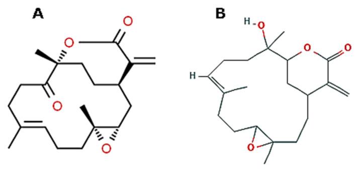 https://cdn.ncbi.nlm.nih.gov/pmc/blobs/22da/7321354/80bc0f9be449/molecules-25-02471-g011.jpg