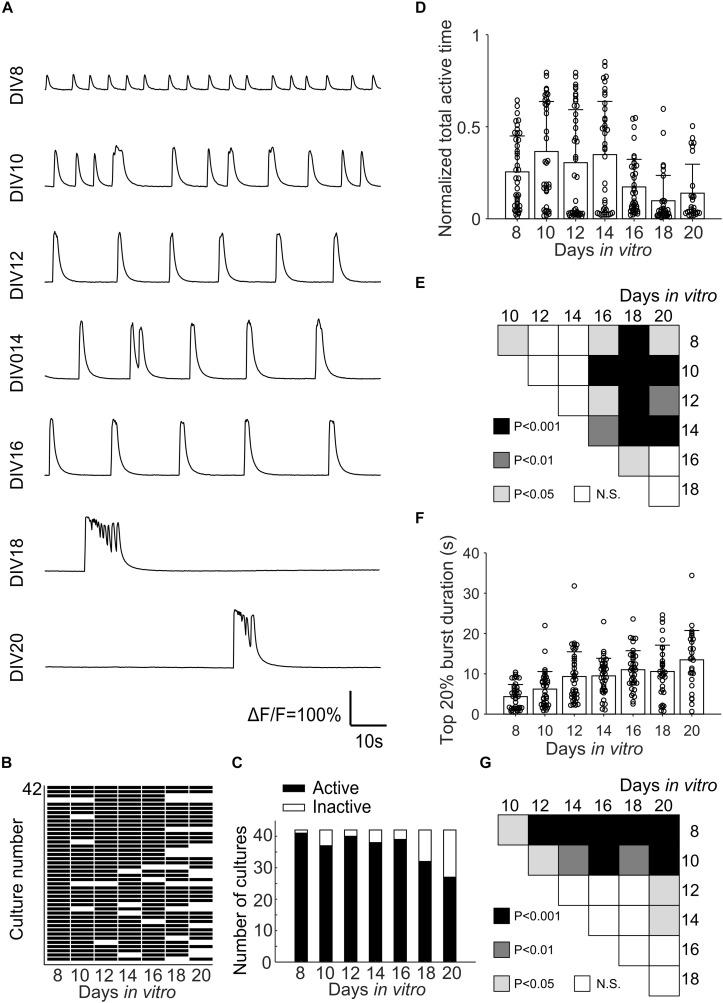 https://cdn.ncbi.nlm.nih.gov/pmc/blobs/22da/7573570/9877f35558b9/fnins-14-563905-g006.jpg