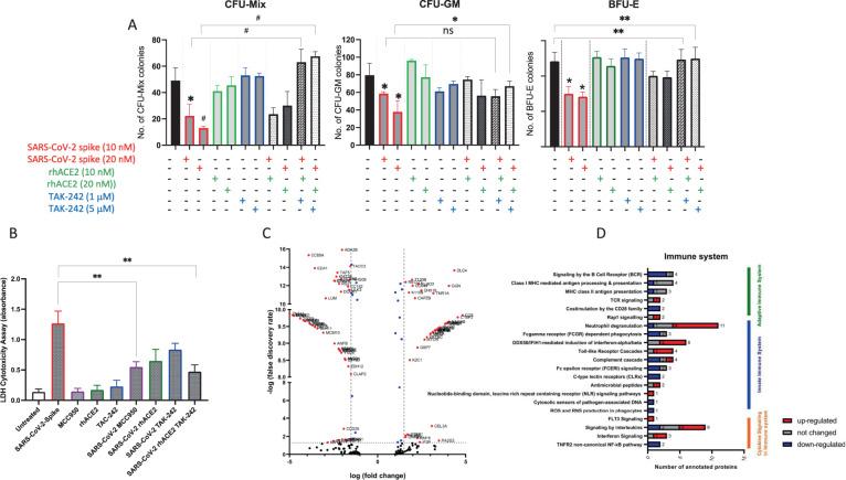 https://cdn.ncbi.nlm.nih.gov/pmc/blobs/22dd/8219510/8bbdb61666f9/41375_2021_1332_Fig2_HTML.jpg