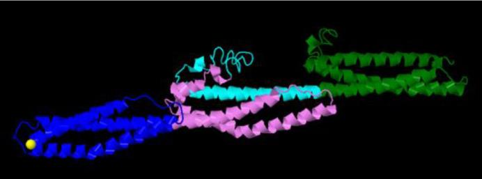 https://cdn.ncbi.nlm.nih.gov/pmc/blobs/22dd/8591754/c1510d759f67/IJBMS-24-1153-g004.jpg