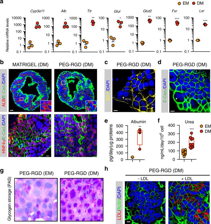 https://cdn.ncbi.nlm.nih.gov/pmc/blobs/22de/7351772/2fd0a5408c31/41467_2020_17161_Fig2_HTML.jpg