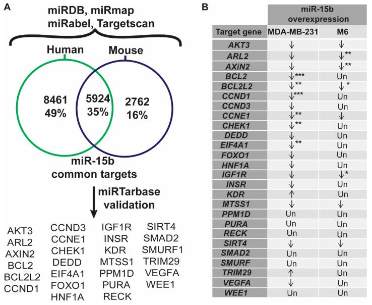 https://cdn.ncbi.nlm.nih.gov/pmc/blobs/22df/10486801/b54e4e6935c6/cancers-15-04320-g006.jpg