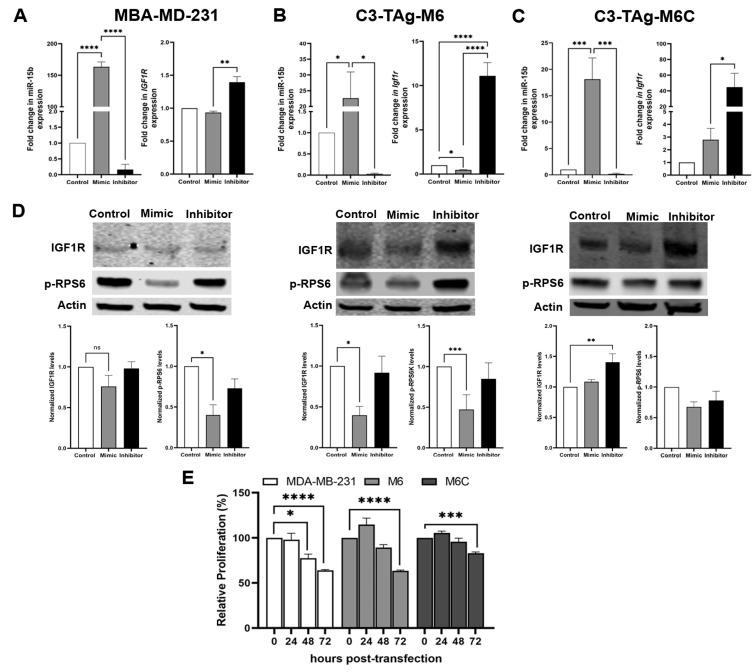 https://cdn.ncbi.nlm.nih.gov/pmc/blobs/22df/10486801/eac97737e31a/cancers-15-04320-g004.jpg