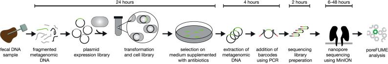 https://cdn.ncbi.nlm.nih.gov/pmc/blobs/22df/5416750/3de5806d3dab/gkw1328fig1.jpg
