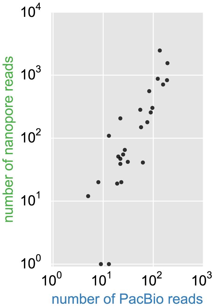 https://cdn.ncbi.nlm.nih.gov/pmc/blobs/22df/5416750/b033b0c20478/gkw1328fig4.jpg