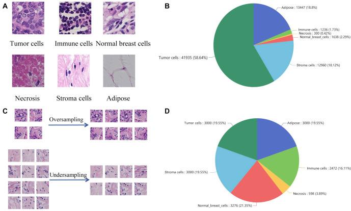 https://cdn.ncbi.nlm.nih.gov/pmc/blobs/22e3/11647253/d0cfcfd225e8/bb-2024-10974f3.jpg