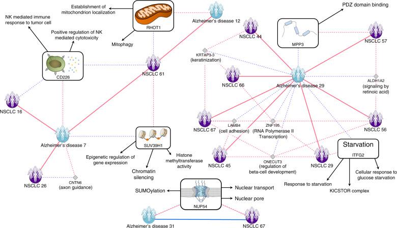 https://cdn.ncbi.nlm.nih.gov/pmc/blobs/22e3/7275044/3920a447009b/41467_2020_16540_Fig5_HTML.jpg