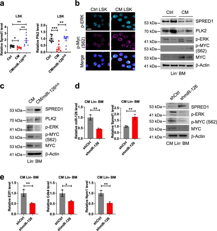 https://cdn.ncbi.nlm.nih.gov/pmc/blobs/22e4/8536759/5378c0116ec2/41467_2021_26420_Fig4_HTML.jpg