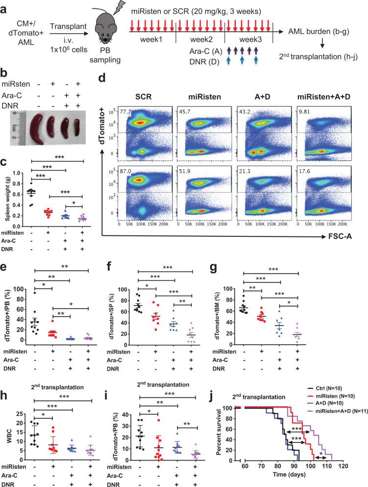 https://cdn.ncbi.nlm.nih.gov/pmc/blobs/22e4/8536759/dcfe61293e12/41467_2021_26420_Fig8_HTML.jpg