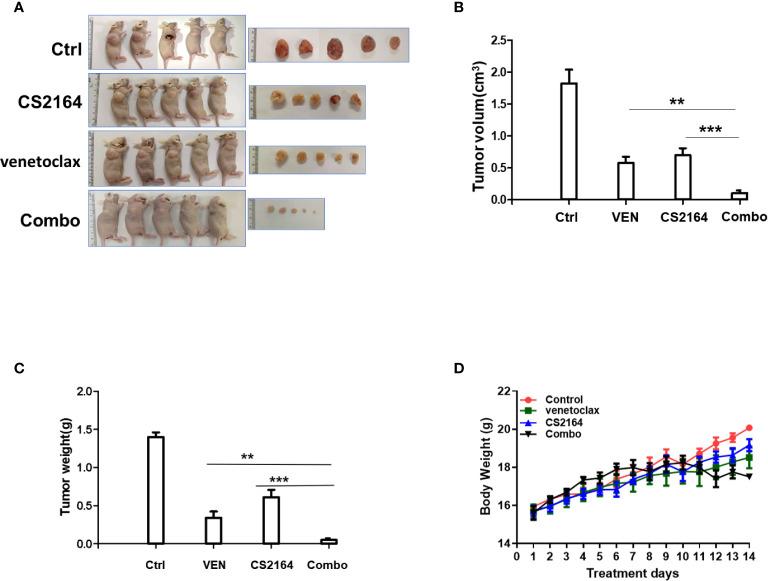https://cdn.ncbi.nlm.nih.gov/pmc/blobs/22e9/7988232/886a520e75a4/fonc-11-618908-g003.jpg