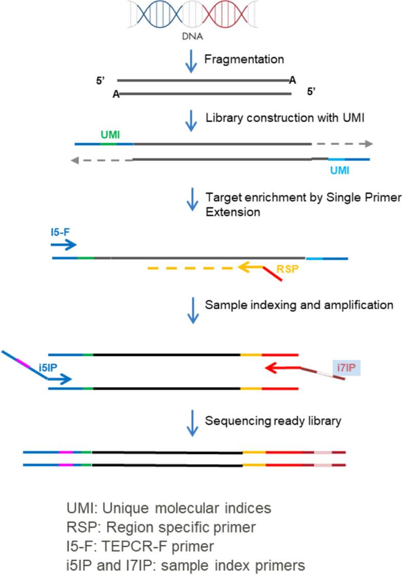 https://cdn.ncbi.nlm.nih.gov/pmc/blobs/22ea/11440721/6c50e2e7fa77/12885_2024_12967_Fig1_HTML.jpg