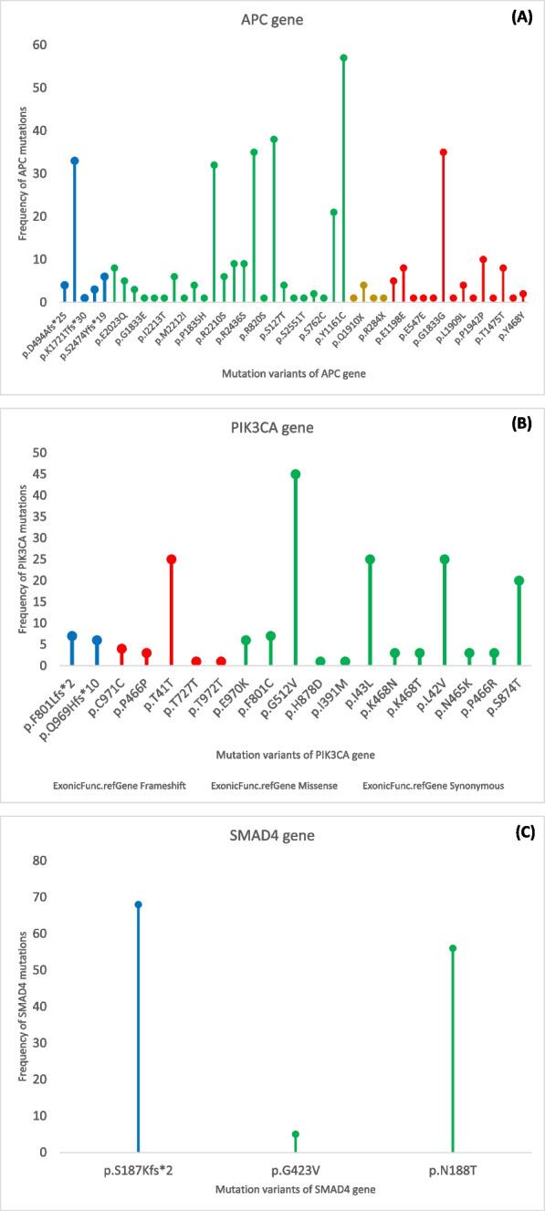 https://cdn.ncbi.nlm.nih.gov/pmc/blobs/22ea/11440721/be4356bd546a/12885_2024_12967_Fig2_HTML.jpg