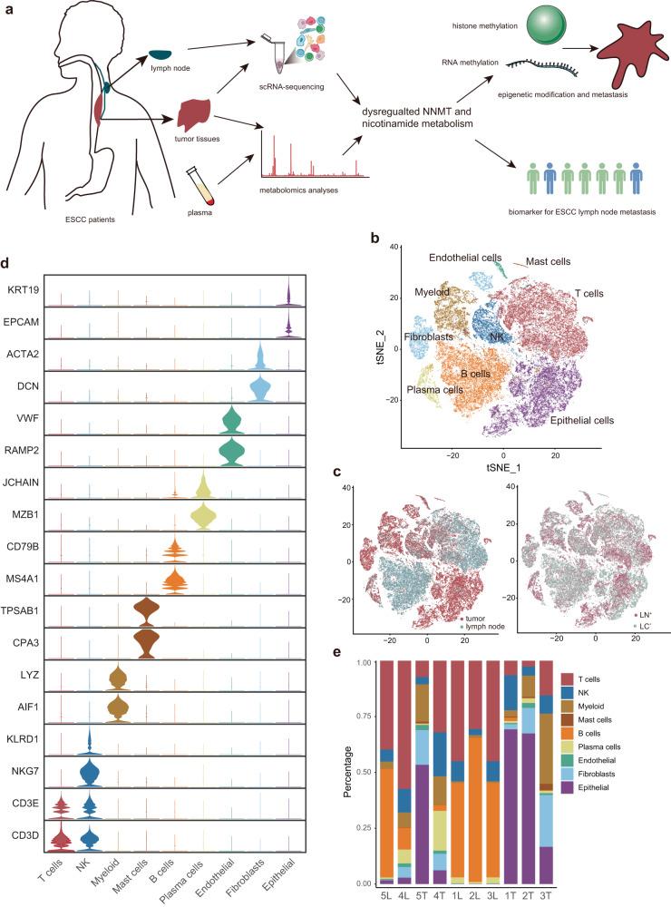 https://cdn.ncbi.nlm.nih.gov/pmc/blobs/22eb/10828394/425d88d46147/41698_2024_509_Fig1_HTML.jpg