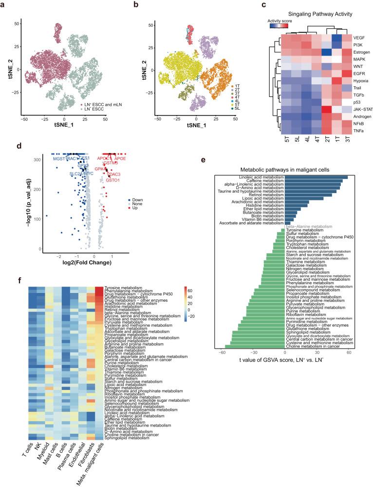 https://cdn.ncbi.nlm.nih.gov/pmc/blobs/22eb/10828394/72114b70f32c/41698_2024_509_Fig4_HTML.jpg