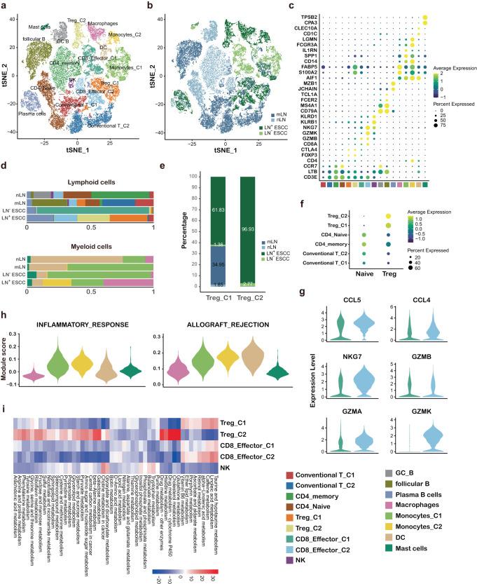 https://cdn.ncbi.nlm.nih.gov/pmc/blobs/22eb/10828394/79ba0a66c662/41698_2024_509_Fig2_HTML.jpg