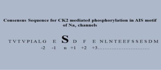 https://cdn.ncbi.nlm.nih.gov/pmc/blobs/22eb/8067952/4111907fe0a8/NRR-16-700-g004.jpg
