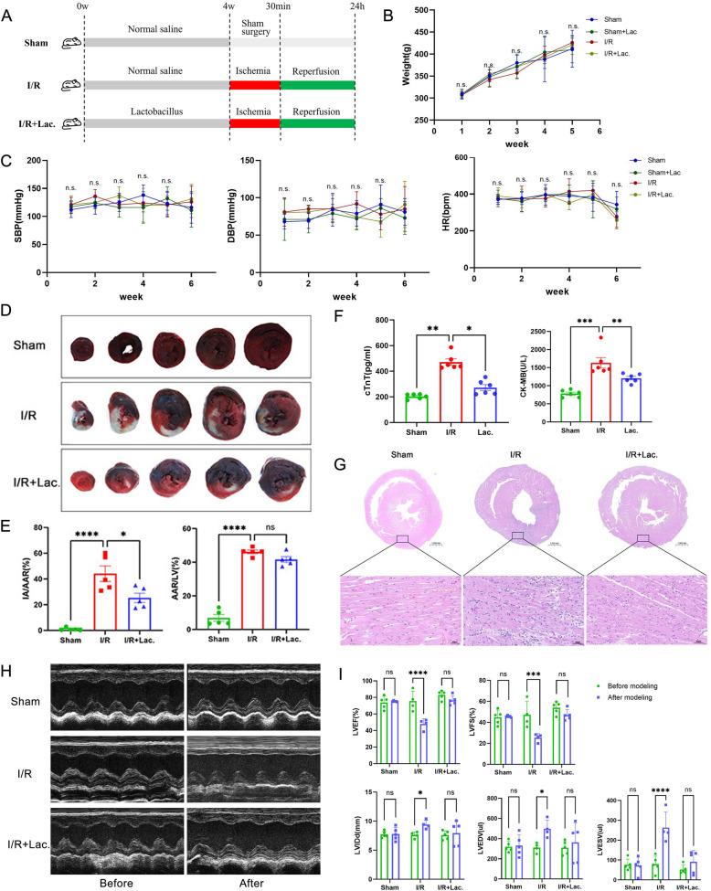 https://cdn.ncbi.nlm.nih.gov/pmc/blobs/22ec/12218948/01bb2fc02e60/12916_2025_4203_Fig2_HTML.jpg