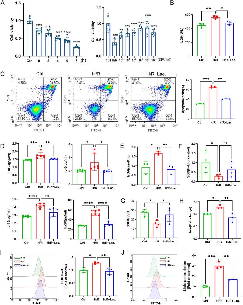 https://cdn.ncbi.nlm.nih.gov/pmc/blobs/22ec/12218948/75b8d7a21212/12916_2025_4203_Fig4_HTML.jpg