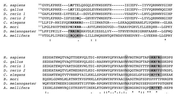 https://cdn.ncbi.nlm.nih.gov/pmc/blobs/22ec/1629024/c0ad1e1b35a5/1471-2156-7-47-5.jpg