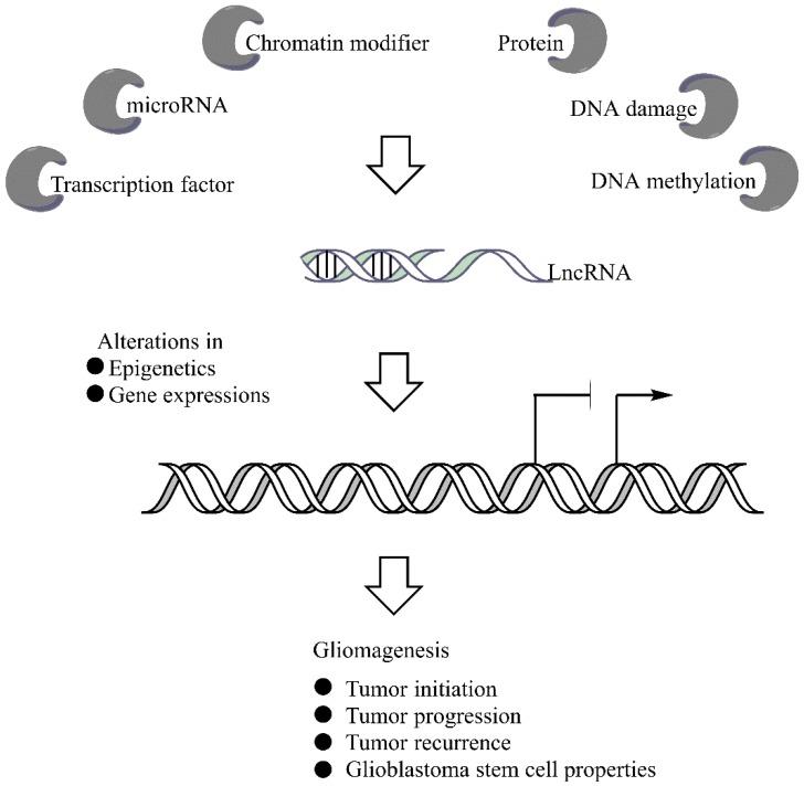 https://cdn.ncbi.nlm.nih.gov/pmc/blobs/22ed/4586776/efe5b21f785f/cancers-07-00843-g001.jpg
