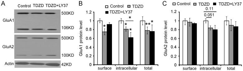 https://cdn.ncbi.nlm.nih.gov/pmc/blobs/22ef/3625159/9764d462dcac/pone.0061787.g009.jpg