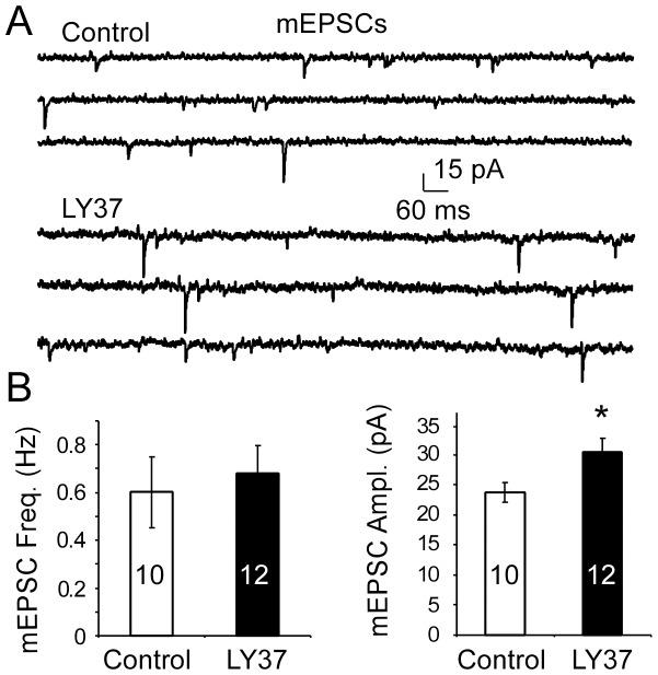 https://cdn.ncbi.nlm.nih.gov/pmc/blobs/22ef/3625159/bb02e703ce66/pone.0061787.g006.jpg