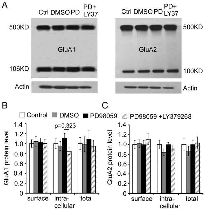https://cdn.ncbi.nlm.nih.gov/pmc/blobs/22ef/3625159/be31ce6e2c22/pone.0061787.g011.jpg