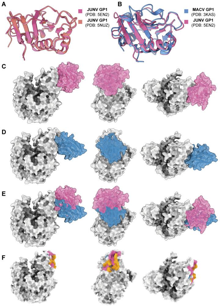 https://cdn.ncbi.nlm.nih.gov/pmc/blobs/22f1/11680233/6620a178fefd/viruses-16-01951-g005.jpg