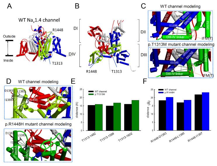 https://cdn.ncbi.nlm.nih.gov/pmc/blobs/22f2/7826575/9fdba5848999/biomedicines-09-00051-g008.jpg