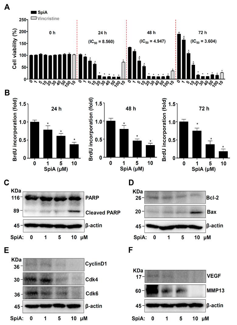 https://cdn.ncbi.nlm.nih.gov/pmc/blobs/22f4/11505237/d2900dc9e5b6/antioxidants-13-01162-g002.jpg