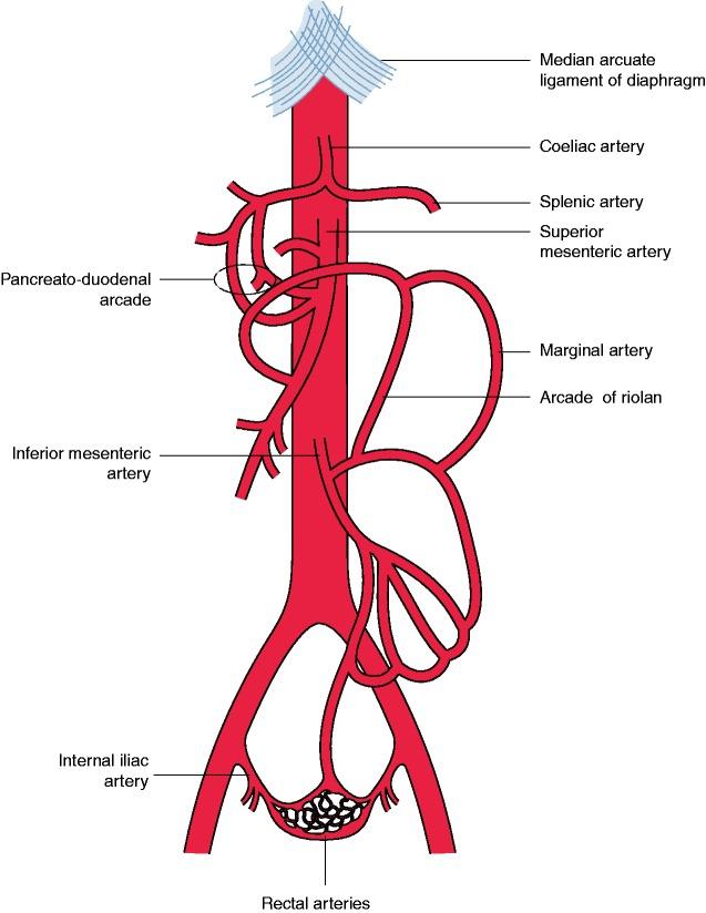 https://cdn.ncbi.nlm.nih.gov/pmc/blobs/22f4/7226699/46760ffc12bb/10.1177_2050640620916681-fig1.jpg