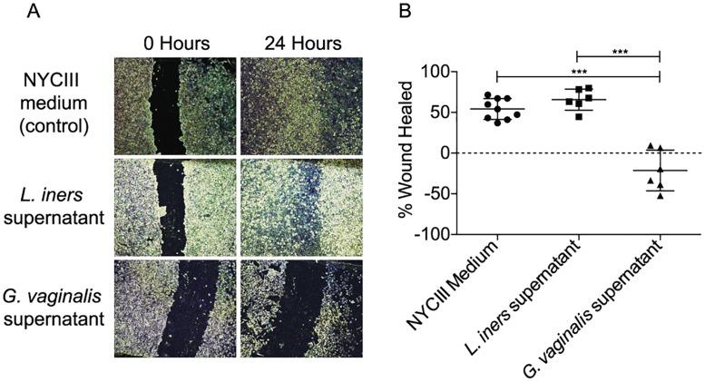 https://cdn.ncbi.nlm.nih.gov/pmc/blobs/22f5/5033340/431f482b0e66/ppat.1005889.g005.jpg