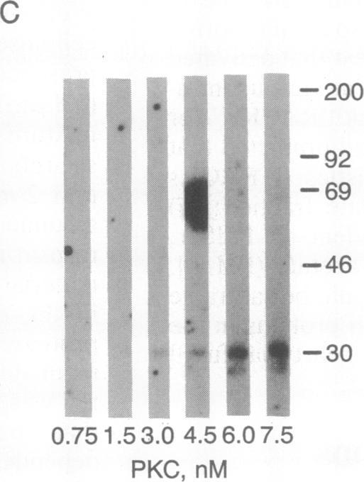 https://cdn.ncbi.nlm.nih.gov/pmc/blobs/22f5/51580/162127333b82/pnas01059-0498-b.jpg